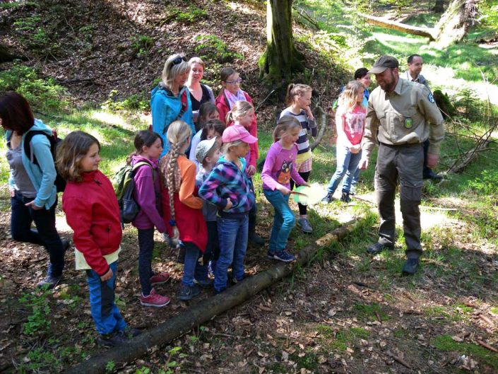 Auf Entdeckungstour mit dem Revierförster