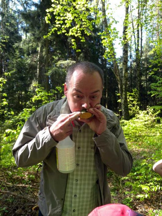 Wie ernährt sich der Baum?