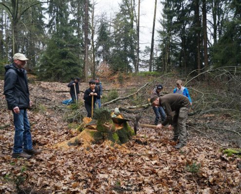 Bäume pflanzen im Nationalpark