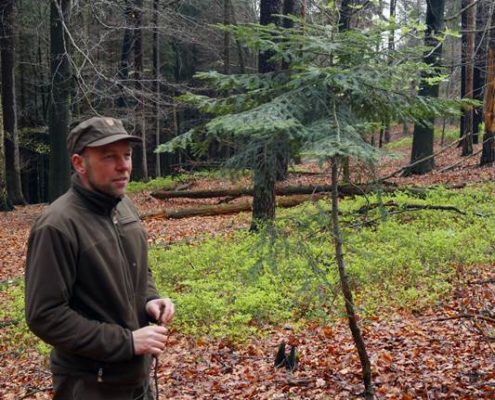 Bäume pflanzen im Nationalpark