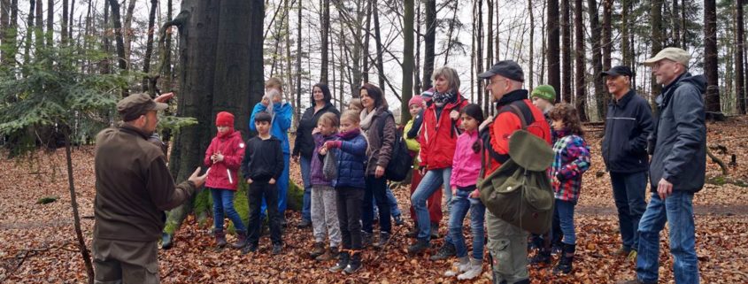 Bäume pflanzen im Nationalpark